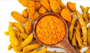 Turmeric Root Extract Curcumin 95%